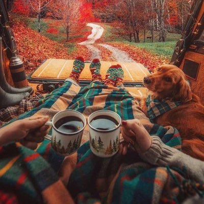 lanenupha's profile picture. 