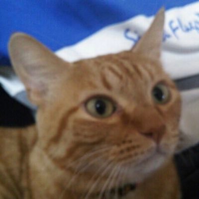 Ty5Qf's profile picture. 