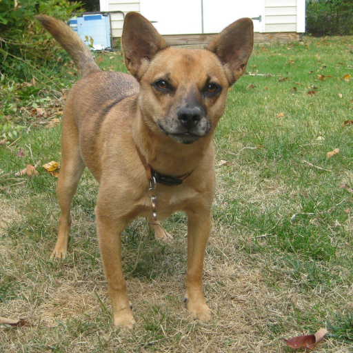 tucko29's profile picture. 