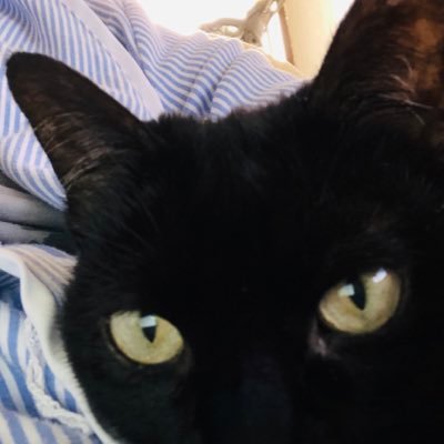 wagner_lotte's profile picture. 