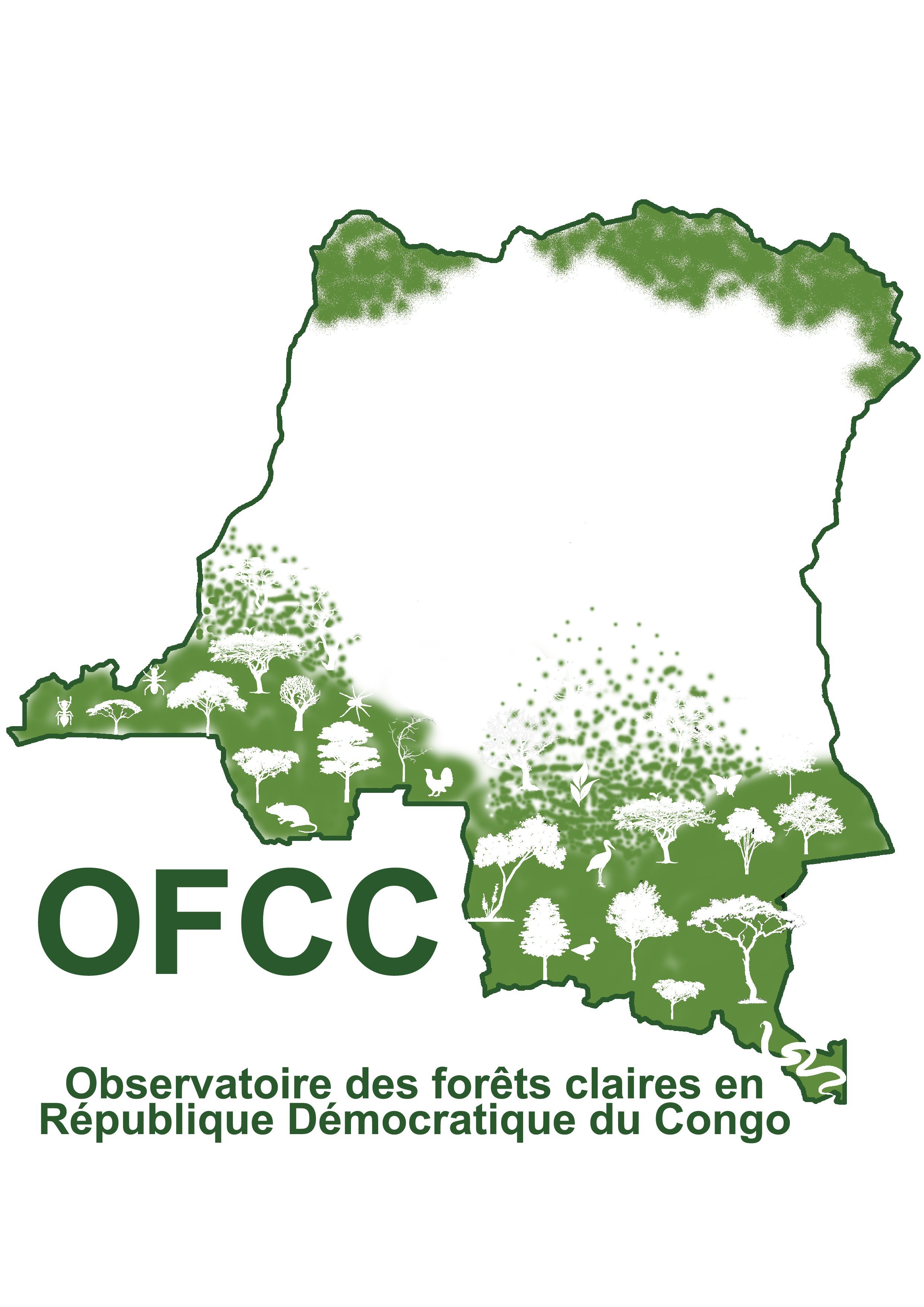 La forêt claire du Miombo dont traite l'Observatoire des Forêts Claires en RD Congo (OFCC) est une ressource vitale pour une grande partie de la population