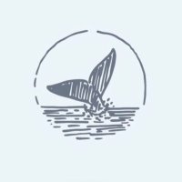 MOSTNEST (@mostnest) 's Twitter Profile