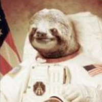 AnyoneElse2020 (@acetadace) 's Twitter Profile Photo AnyoneElse2020 (@acetadace) 's Twitter Profile Photo