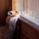 Olivia Stout - @aSuperCreeper - Twitter