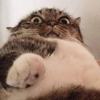 Afumi_ku's profile picture. โอเคซึ้ง