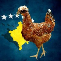 Pulat Kosovë(@Pulatkosov) 's Twitter Profile Photo