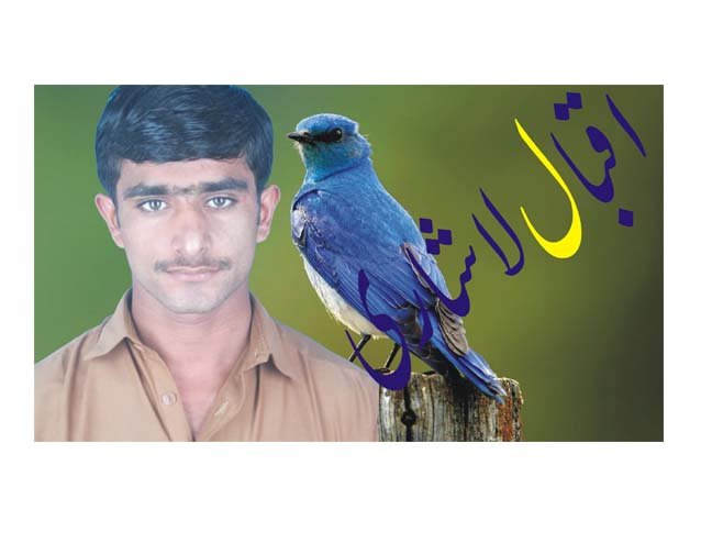 IqbalPa21472642's profile picture. 123