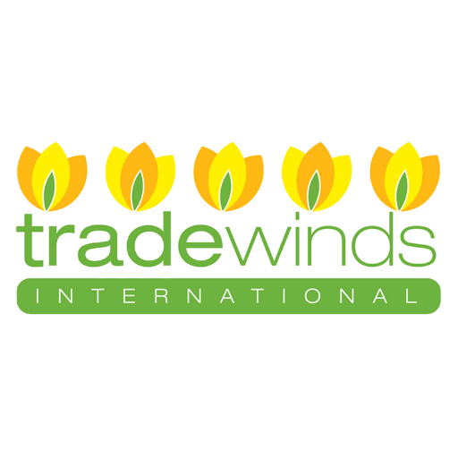 Tradewinds is a wholesale company that provides to the trade; flower bulbs, potted spring bulbs, winter greens & 2 cm outdoor porcelain tiles and more