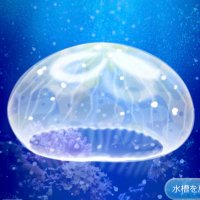 あちキング (@e26ea8) Twitter profile photo