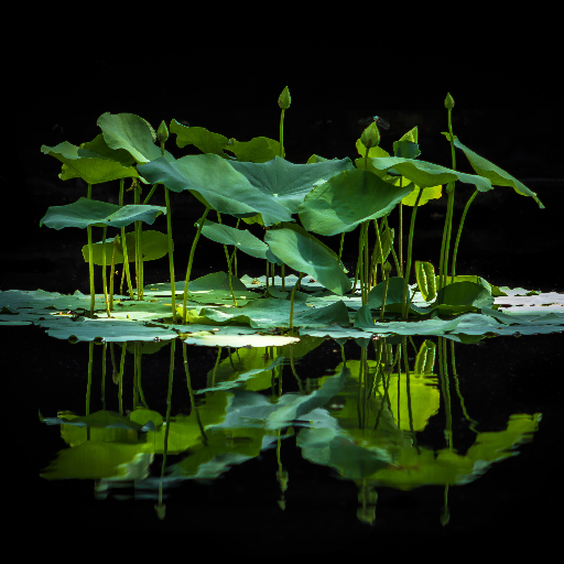 KinectBundle's profile picture. Cool tips, tricks and savings on various products