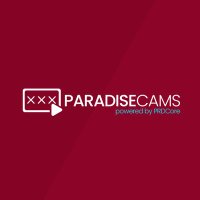 ParadiseCoin (@prd_core) 's Twitter Profile