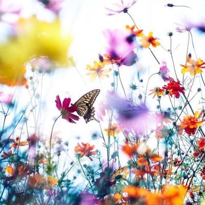 Leofalc10707586's profile picture. actor