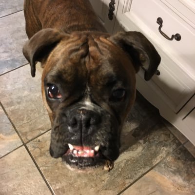 GavinChambers3's profile picture. 