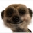 AleksanderMeer's profile image