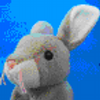 The Thornbys (@rabbitsuk) 's Twitter Profile Photo The Thornbys (@rabbitsuk) 's Twitter Profile Photo
