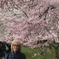 Jane E West PhD (@janewestdc) 's Twitter Profile