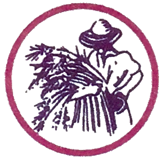 Pastificio847's profile picture. Gourmet Northern Italian Take-Home Cuisine