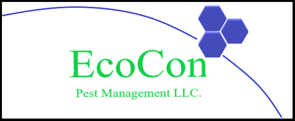 We are a private owned located in Delaware Ohio pest control and wildlife company. We strive to solve all of are customers problems at affordable prices!!
