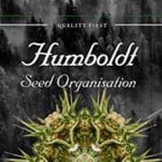 Humboldt Seeds Humboldtseeds Twitter
