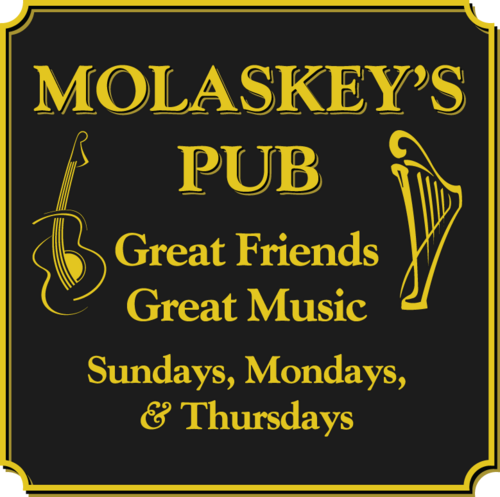 Molaskey's Pub is a digitally born public house in Second Life supporting live indie music in an amazing 3D space.