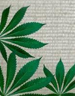 hemphour's profile picture. 