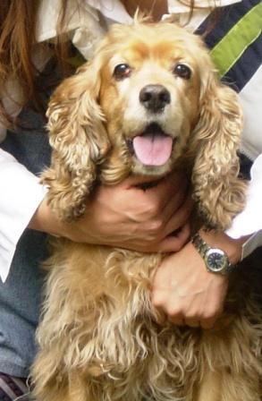 AtalaMaria's profile picture. Mujer al 100%, amante de las letras, llena de historia