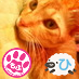 働くうつ病患者。ねこがだいすきだよ！！！ 犬や他の動物も たいがいすきだよ！！動物虐待のない世の中にすべく 地味に頑張りますよ。家族は娘が２ニャン。すもも（茶トラ）と こもも（茶トラ×白）ブサカワ。黒い服ばかりなので猫毛が目立って大変(´;ω;｀) ◆WWF会員◆「国境無き猫もふ団」北河内支部◆