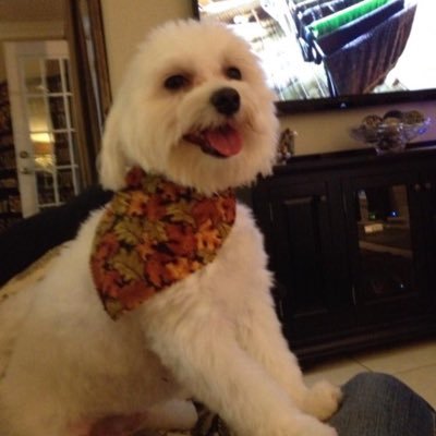 BrianRumley's profile picture. 