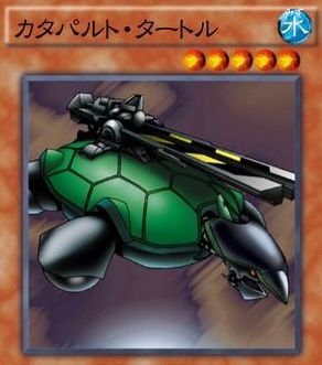 戸田亜さんのプロフィール画像