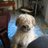 r_villalba's profile image
