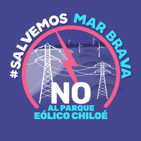 Salvemos Mar Brava (@brava_mar) 's Twitter Profile