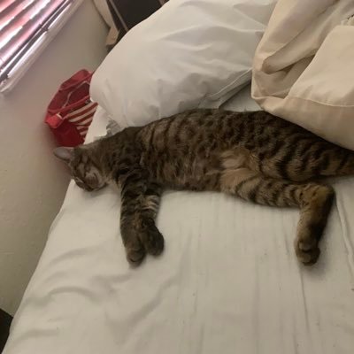 Marlitol26's profile picture. 