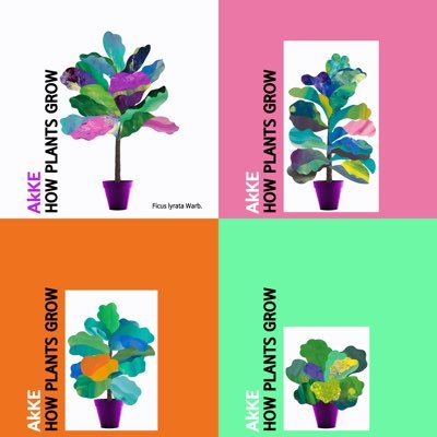 bandakke's profile picture. AkKE New Single [How Plants Grow] Release🌲🌳🌴▶️▶️https://t.co/jYdafSwYtg
