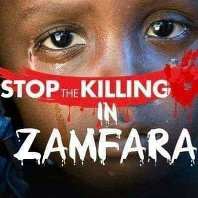 Nigeria, Zamfara am Charming man, advocate, peace ambassador, online blogger activist, human right watch, political analyst,  man of his word, Youth leader.