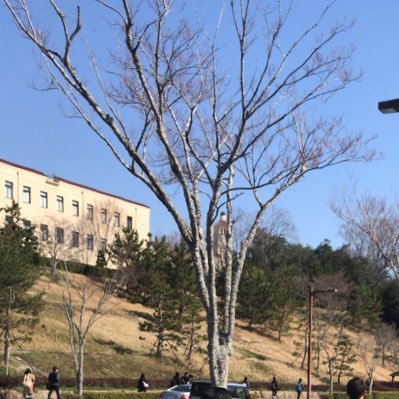 関西学院大学 神戸三田校で農業やってます。現在18人くらいのメンバーがおり、学部学科様々なところから来て頂いております。代表も1回なので気軽にどうぞ。代表の中の人@Leo67043753  Instagram始めました #春から関学 #園芸