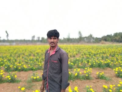 NarasappaNaras3's profile picture. narasappa