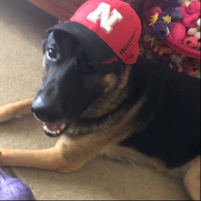 Farmer’s daughter that loves dogs and horses farms ranches cattle 4H Nebraska football huskers transportation grain family and friends
