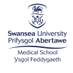 MSc Health Data Science at Swansea University (@msc_hds) Twitter profile photo MSc Health Data Science at Swansea University (@msc_hds) Twitter profile photo