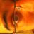 The1andOnley's profile image