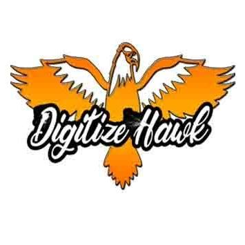 We are emerging Digital Marketing Company in Pune. Digitize Hawk provide best services like search engine optimization (SEO), PPC,SMM,SMO.