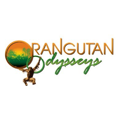 Orangutan Odysseys is saving the environment through tourism. We offer responsible tours that raises awareness about the loss of habitat endangering orangutans.