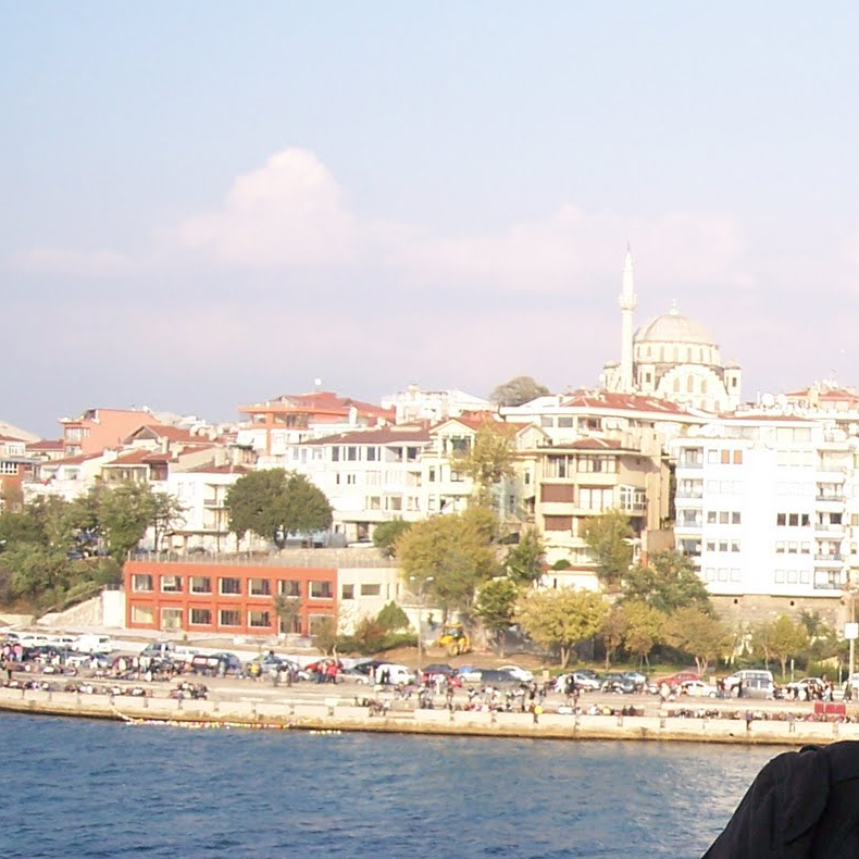 Reni22752332's profile picture. 