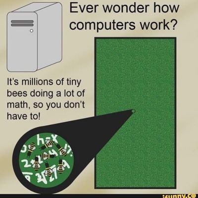 OMG_wow_lmao's profile picture. I will protect my friends and neighbors from all threats, foreign or domestic.

'Divided We beg, United We Bargain'

I'm trying my best, ok. #hastwt