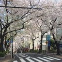 Jan Pham - @OrchidKey - Twitter