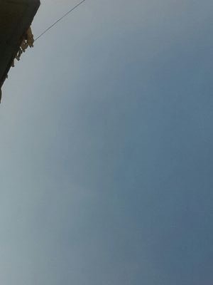 MgMg45420608's profile picture. 424582