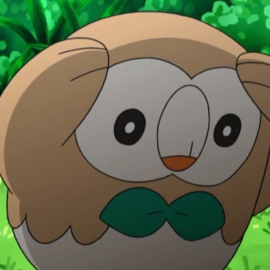 Syber🦉さんのプロフィール画像