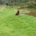 Anthony Kenny - @antokenny7 - Twitter