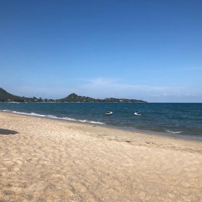 Taz395's profile picture. 