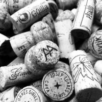 Wines of Catalonia (@wineandcavas) 's Twitter Profile Photo