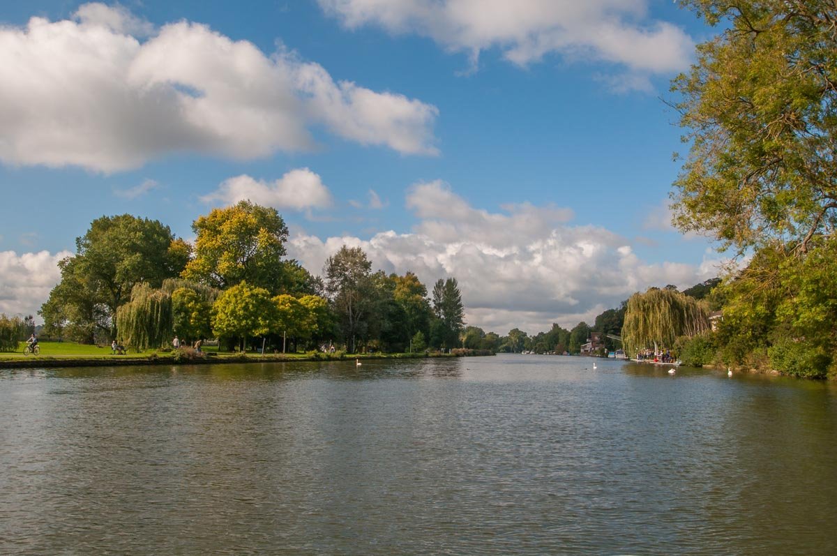 Updates and special information on daily river trips from Caversham in Reading.